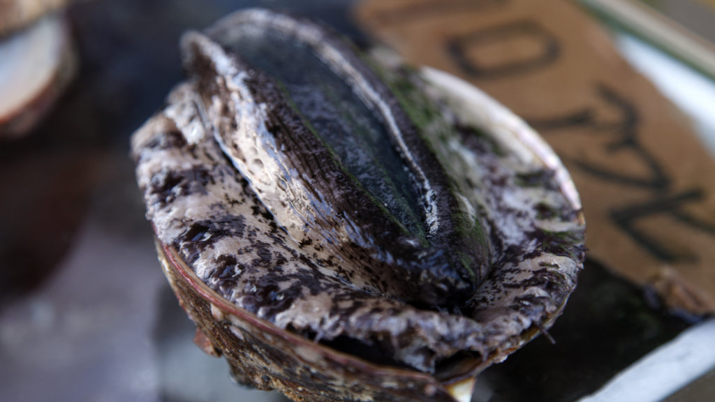 貝のお刺身シリーズ 15種類まとめて一挙公開！六甲道ブログ