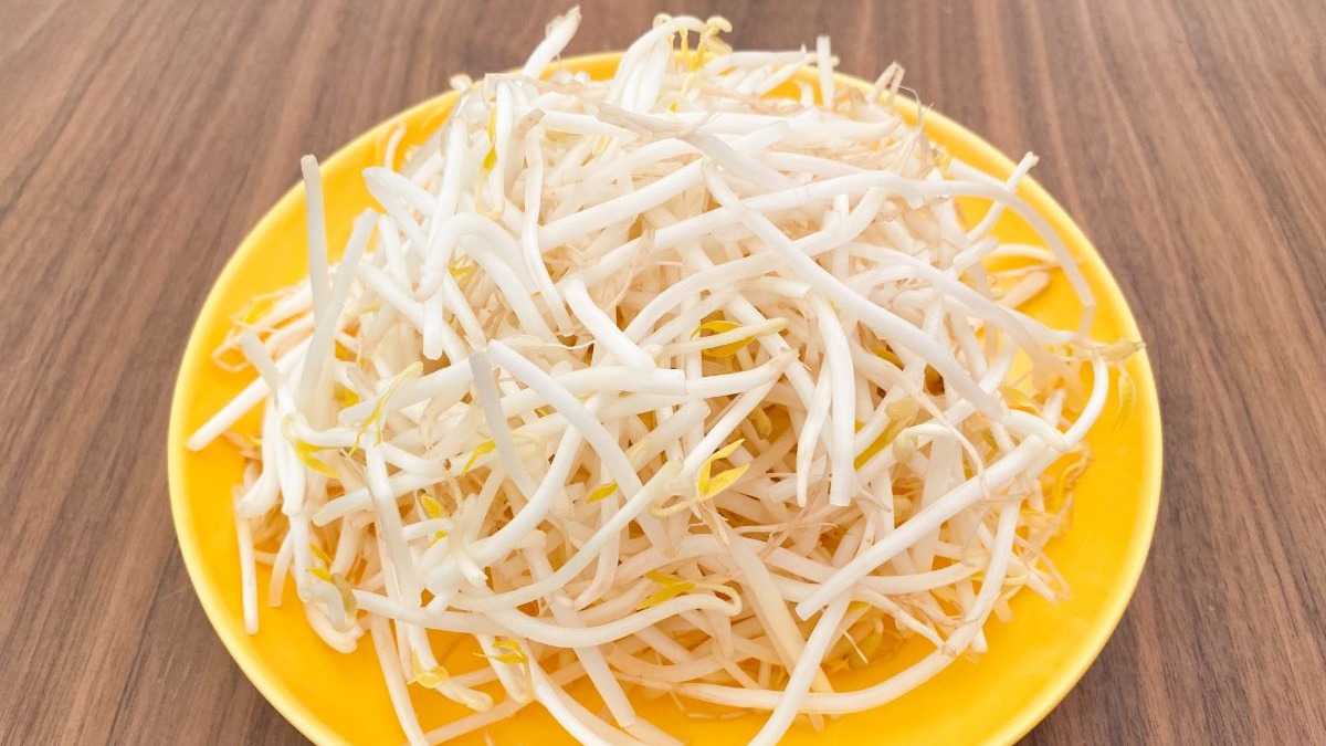 根取りもやし 緑豆 シリーズのカタログもやしとカット野菜の富士食品工業