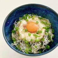 基本からアレンジまで！思わずつくりたくなる「釜揚げしらす 丼 めんつゆ」のレシピ集クックパッド