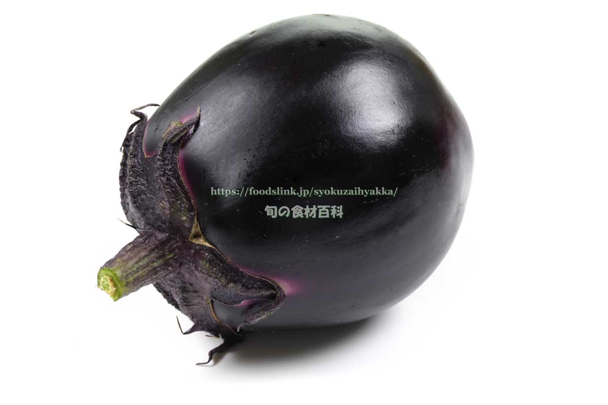 ナスの種類家庭菜園におすすめの品種は?形や色の種類と特徴は?🍀GreenSnap グリーンスナップ