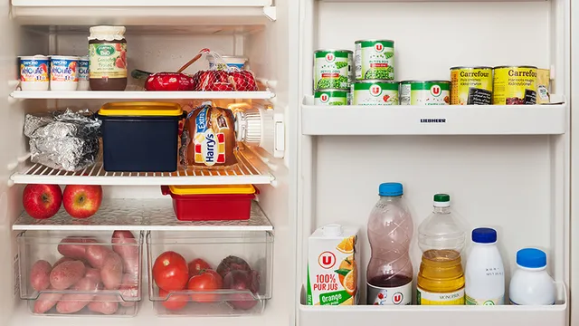 片づけ達人の「冷蔵庫の中身」大公開。考えずにすっきりが続くESSEonline エッセ オンライン