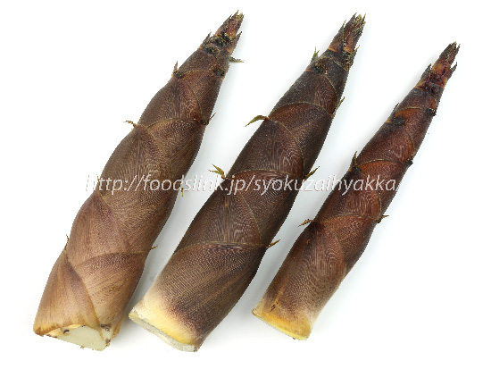 荒れ放題の竹林を宝の山に。早起きは3文の得どころじゃない！～タケノコ生産者 中山秀雄さん～観光・ワーケーション・スポーツ合宿なら宮崎県新富町