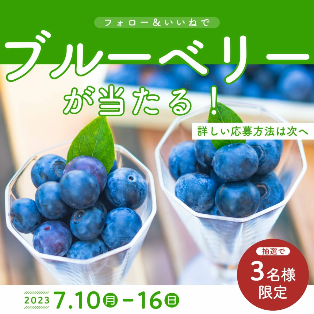 熟した青い果実でいっぱいのハニーベリーの木のクローズアップ - 果実のストックフォトや画像を多数ご用意 - 果実, ハスカップ, ベリー類 -iStock