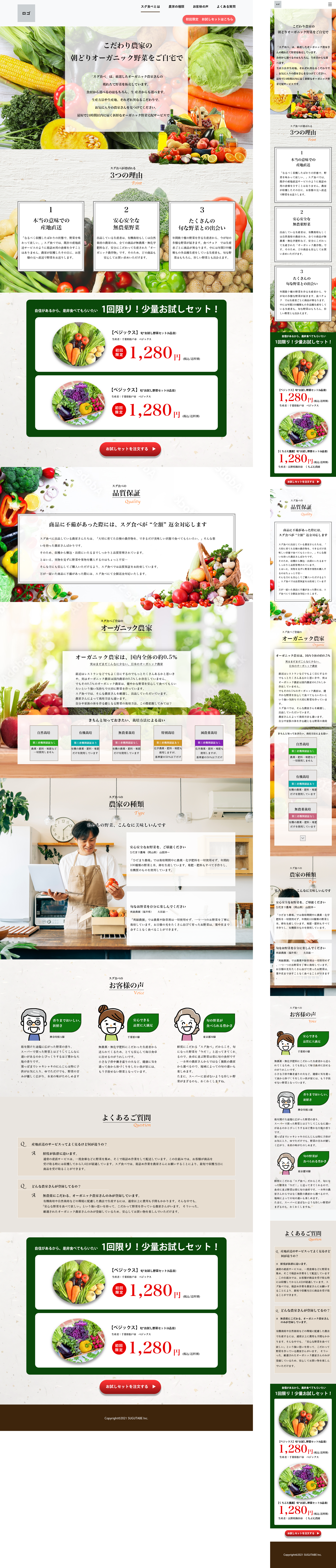 lienAyuka Suzuki portfolio