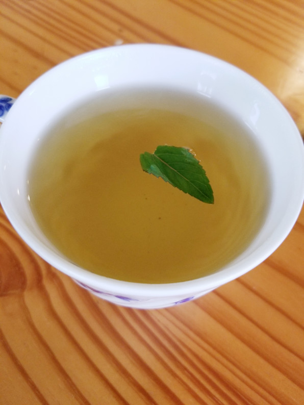 フレッシュミントの消臭スプレー♪ - * Handmade Gallery *