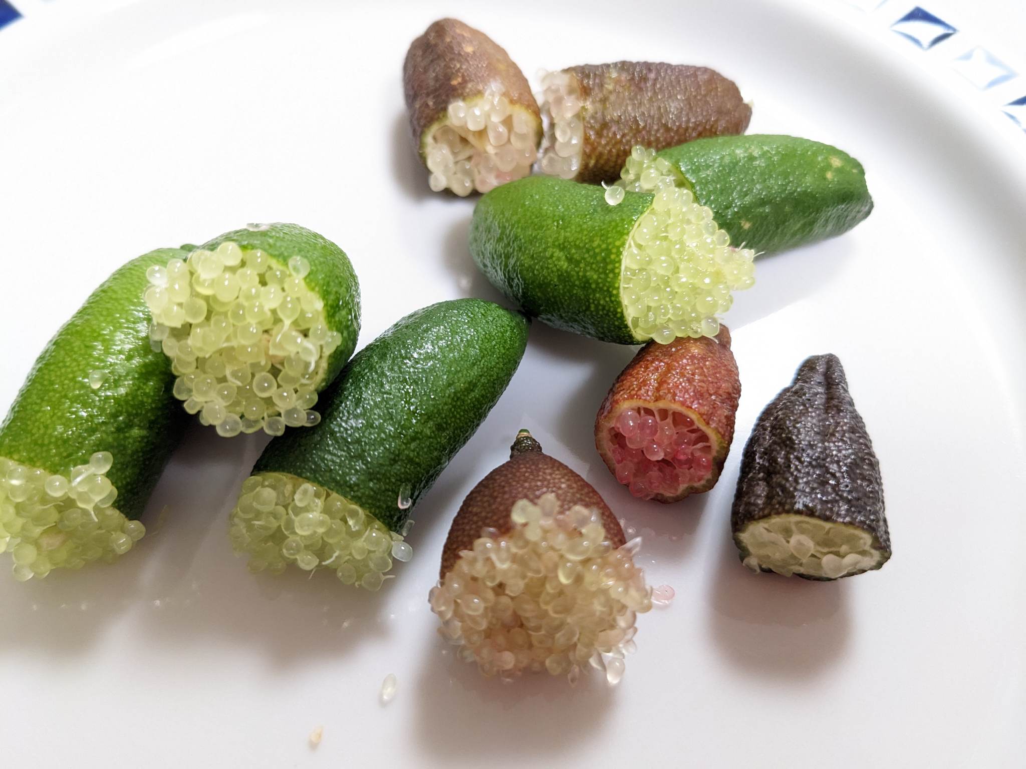 フィンガーライムをご存じですか