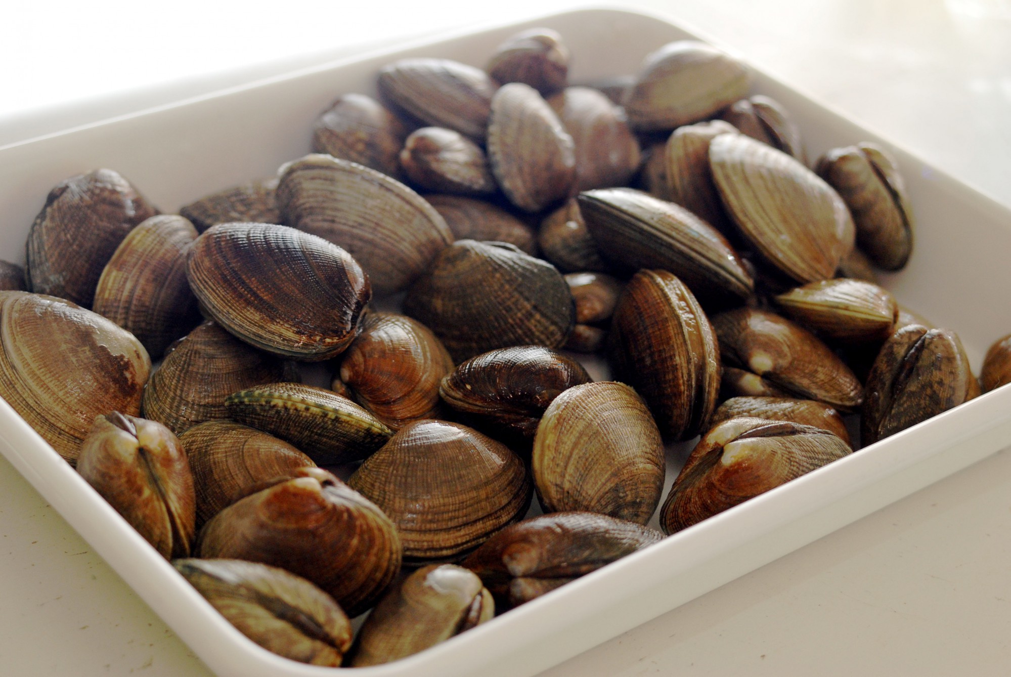 もうジャリッとしない！あさりの砂抜きテク, こんにちは！Onnela編集部のYuです！, あさりの砂抜きって、,結局のとこ塩分濃度の正解がイマイチわからないよね , でもペットボトルを使えば、簡単に作れちゃうよ！, ①ペットボトル1本 500ml の水に,キャップ2杯分の塩を入れてよく混ぜて溶かす, ②アサリは殻をこすって洗う, ③殻が少し出るくらいに水を減らす,