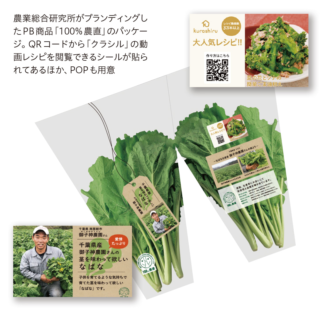 オリジナルのシール・ラベルで売上UP！農業デザイン&ブランディング野菜・果物など一次産業の出荷に