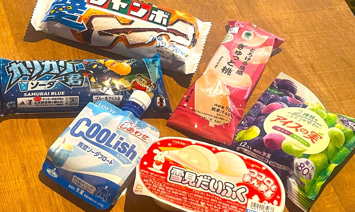 여행지 정보 - 뉴욕,도쿄,오사카,LA,시드니,싱가폴,파리,런던,세부 일본여행일본 기차여행을 할 때 꼭 맛보아야 할 도시락 5가지:: 해외 한인 민박 숙박 실시간 예약 - 한인텔 hanintel.com