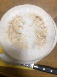 カビが生えた部分を取り除けば食べても大丈夫?子育て応援サイト CHEER!days