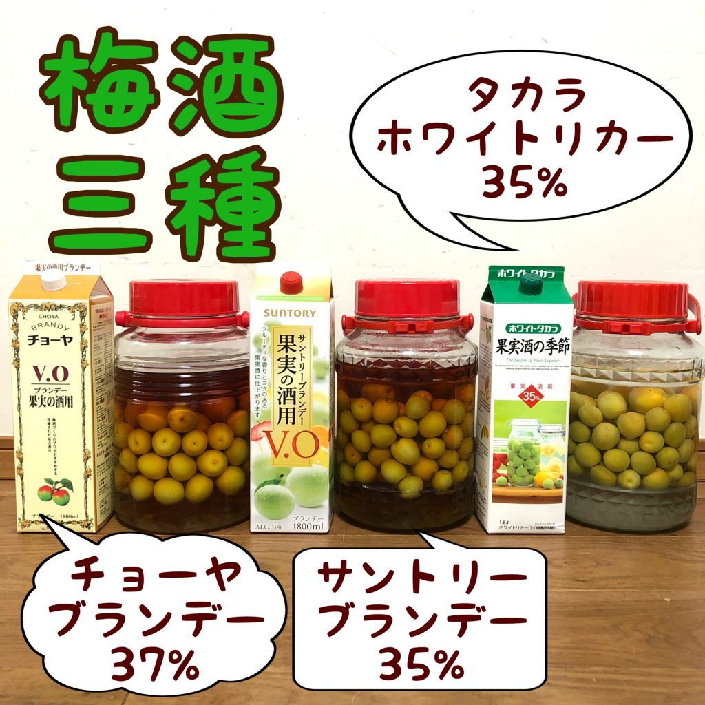 ドライフルーツのブランデー梅酒漬け・梅仕事・アレンジ –Organic Recipeオーガニックレシピ