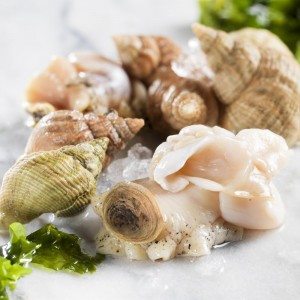 🇯🇵 北海道函館 つぶ貝の塩茹でとハスカップワインです😊 あまりにインバウンド価格が醜いからスーパーでつぶ貝の塩茹でを買いました。 安いです😊ハスカップワイン、ワイン通の方には邪道かもしれませんが、酸味が美味しかったですね😄