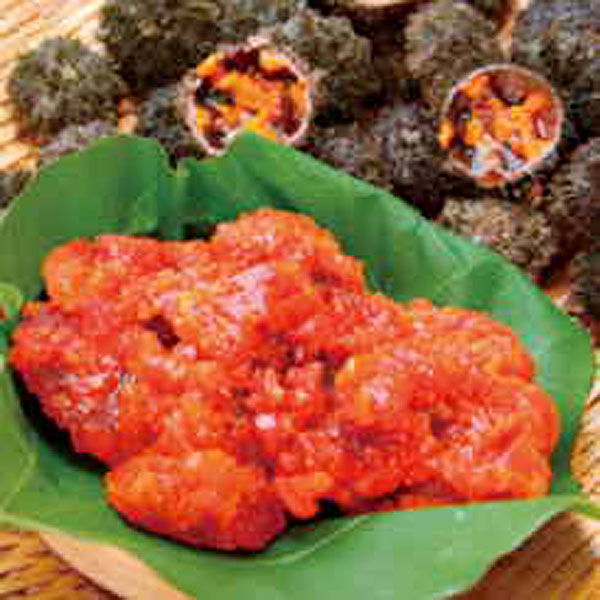 ▶︎ @fukui_antennashop291 天たつ試食販売会 @tentatsu_unisho.fukui 2 24 土・越前仕立て汐うに10g 3564円〜 税込福井の老舗 天たつ の汐うに✨ 二百年続く製法でバフンウニと塩のみで 熟成した雲丹本来の旨味をお試しください