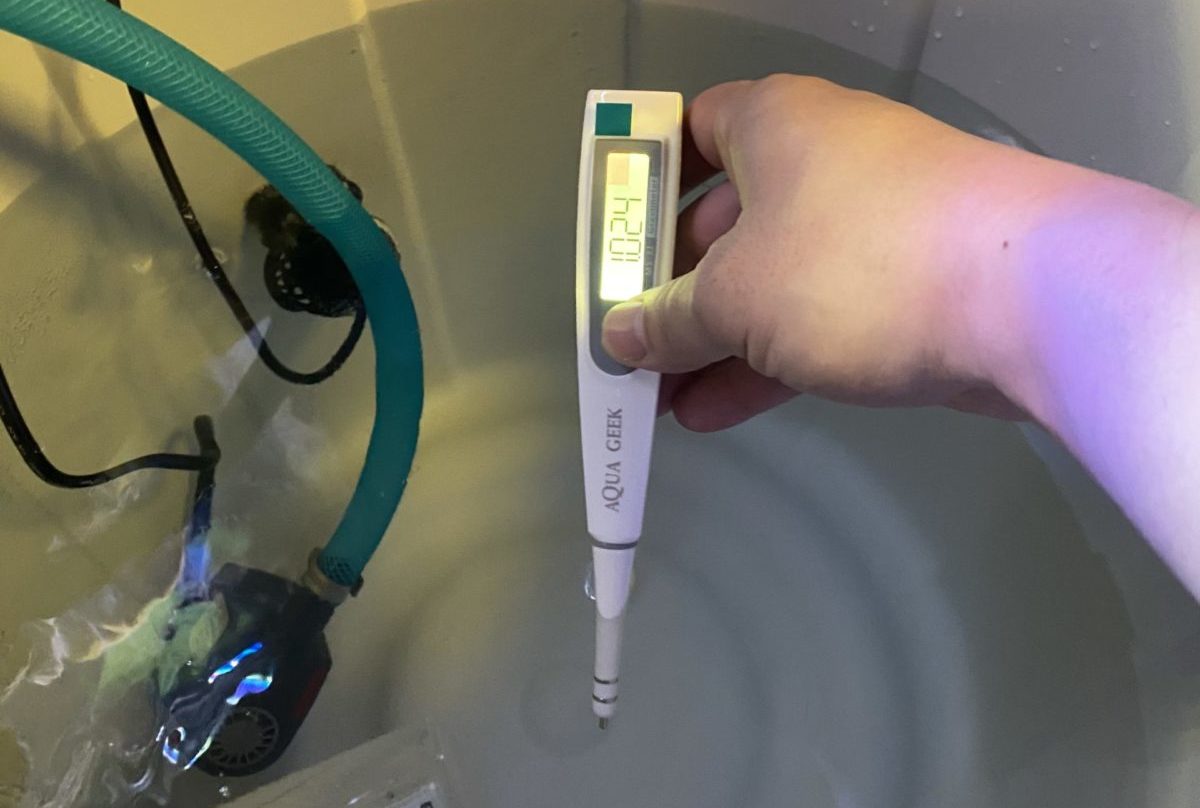 初心者向け海水水槽の作り方!水族館で見たあの魚を飼おう! – アクアハーミット