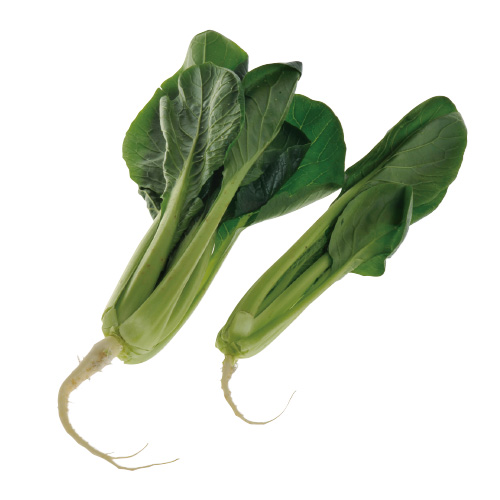 冬場が旬の緑黄色野菜で、ビタミン、鉄分、カルシウムが豊富な小松菜 Stock PhotoAdobe Stock