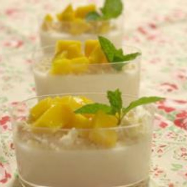 簡単おやつレシピ ヨーグルトとブルーベリーのパンナコッタ