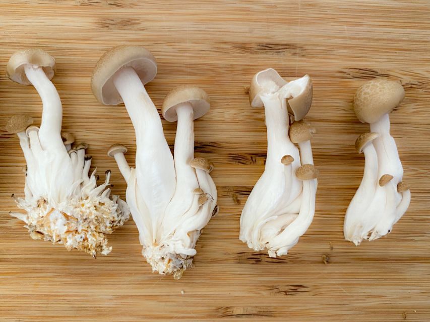 ぶなしめじの極旨しりしり超 楽はやっ！クッキングイオン北海道株式会社