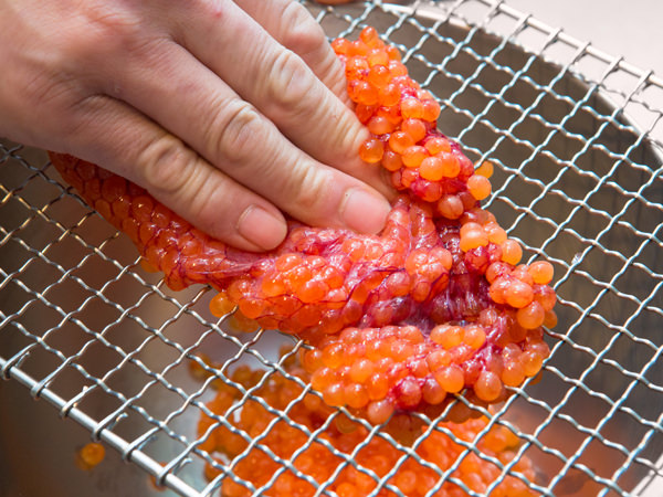 超簡単👍生腹子のバラし方,こがね海産物仙台朝市生筋子のほぐし方生筋子いくら生いくらいくら丼イクライクラ丼魚卵seafoodfishsalmonroeikuraグルメ宮城グルメ仙台グルメ高級仙台駅魚魚レシピ魚料理fishmarketいくら醤油漬けイクラ醤油漬け