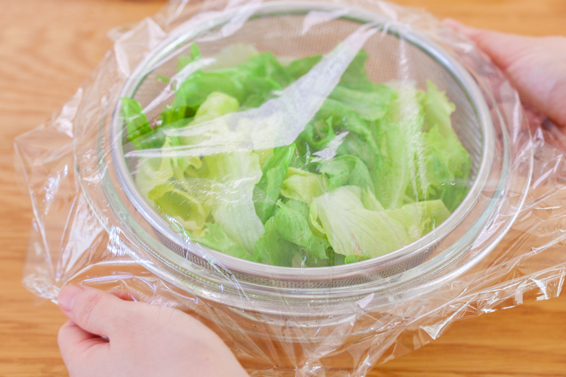 種類別!レタスを美味しく長持ちさせる保存方法 最長3週間、レタスの鮮度を保つテクニックもご紹介!ONIGO通信スーパー価格で、すぐ届く。ONIGO