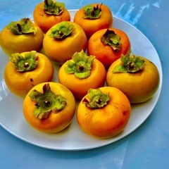 こんにゃくゼリー 1600g 約80個入り福山市でコストコ商品を購入│COSTLUCK コストラック