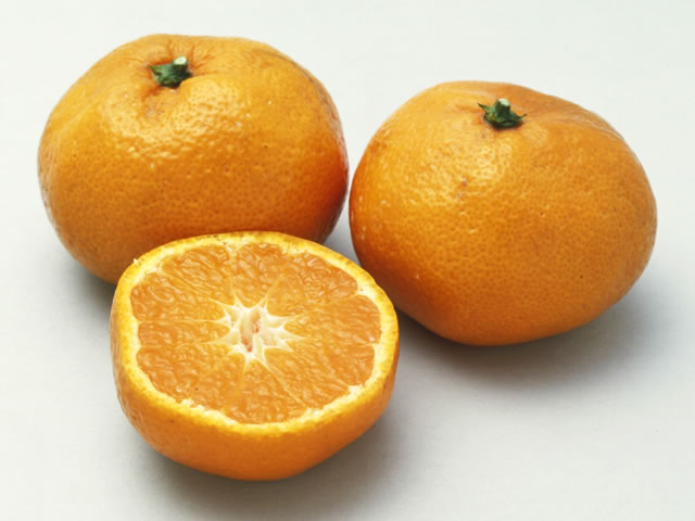 夏の緑 あお みかん 特集その２ まだまだ知られていない緑みかんの健康パワー - 有限会社ジョイファーム小田原