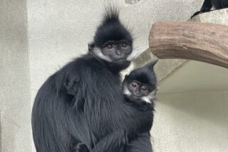 ズーラシア動物園Part1深川芹亜オフィシャルブログ「いらっしゃいまSeria♡」Powered by Ameba