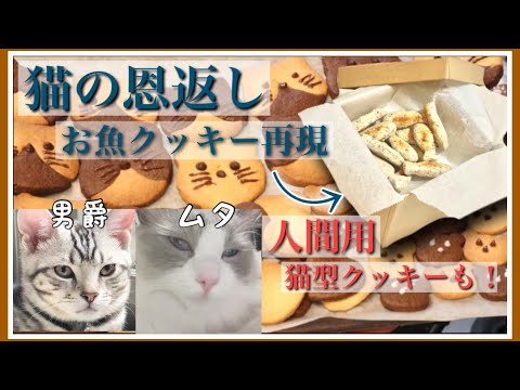 猫の恩返し アクセサリーケース おさかなのクッキー箱 - メルカリ