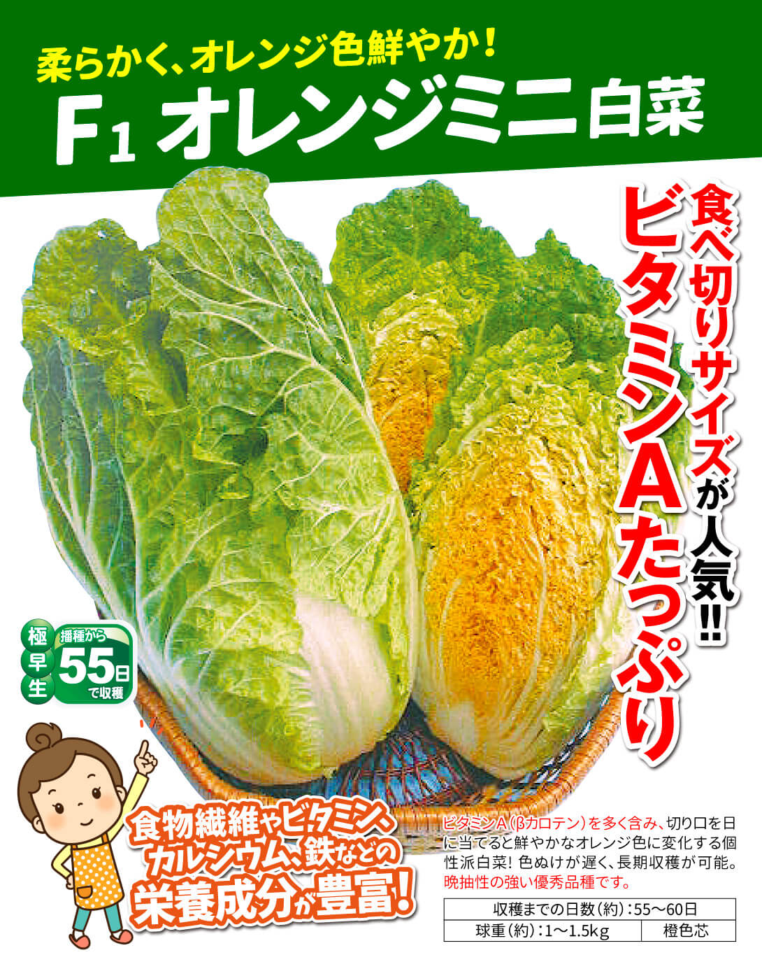 ミニ白菜の春栽培 春秋二回栽培できる！便利なミニ白菜「CRお黄にいり」 - 週１回３時間！共働きのズボラ週末家庭菜園