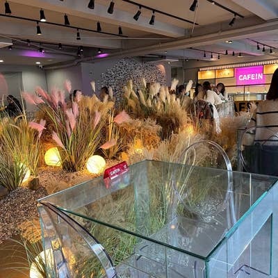 CAFE iNカフェ イン- 東新宿 カフェ食べログ