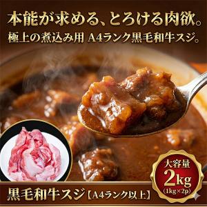 ジャパンミート ヤンニョム 唐揚げ串TikTok