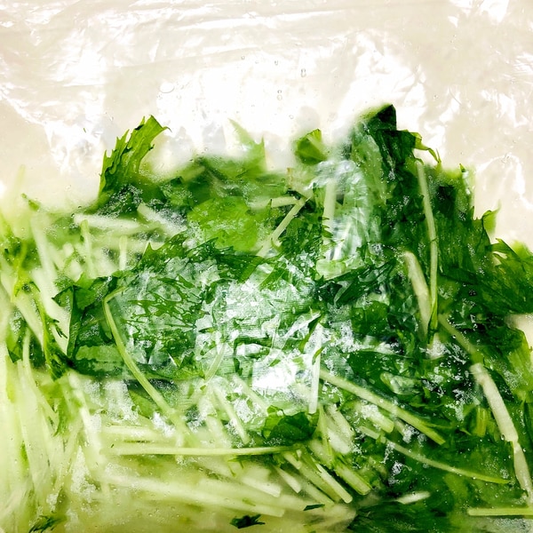 水菜の冷凍保存方法