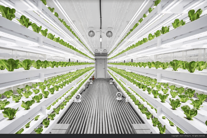 ガーデニング 庭がなくてもOK！たくさん収穫できる「コンテナ菜園」春〜夏バージョンゆうゆうtime