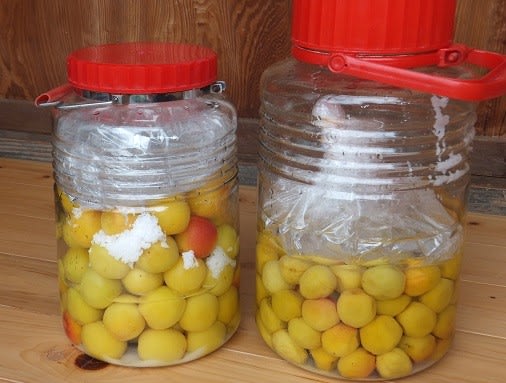 梅干し作りに使う焼酎の選び方・残った焼酎を使った梅干し割りのレシピ梅干し通販店 五代庵