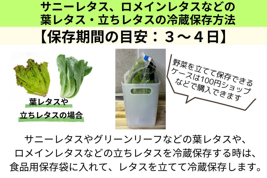 サニーレタスの産直相場について - Genspark