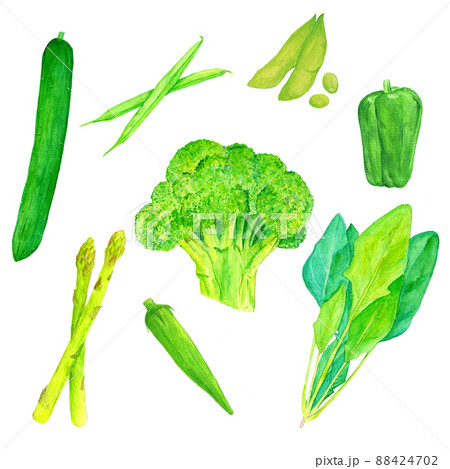 緑の野菜のイラストアソート手描き風のイラスト素材65672947- PIXTA
