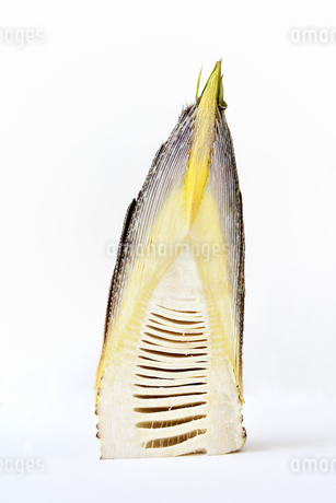 筍は本当に生食できるのか？実食を交えた僕の感想と目利き。生産者と繋がる居酒屋店長のブログ