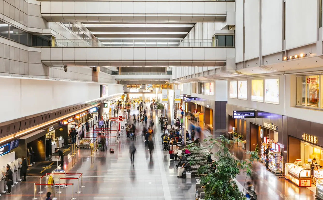 羽田空港第3ターミナルのレストラン&カフェ8選:見送りやデートにもおすすめTHE GATE日本の旅行観光マガジン・観光旅行情報掲載