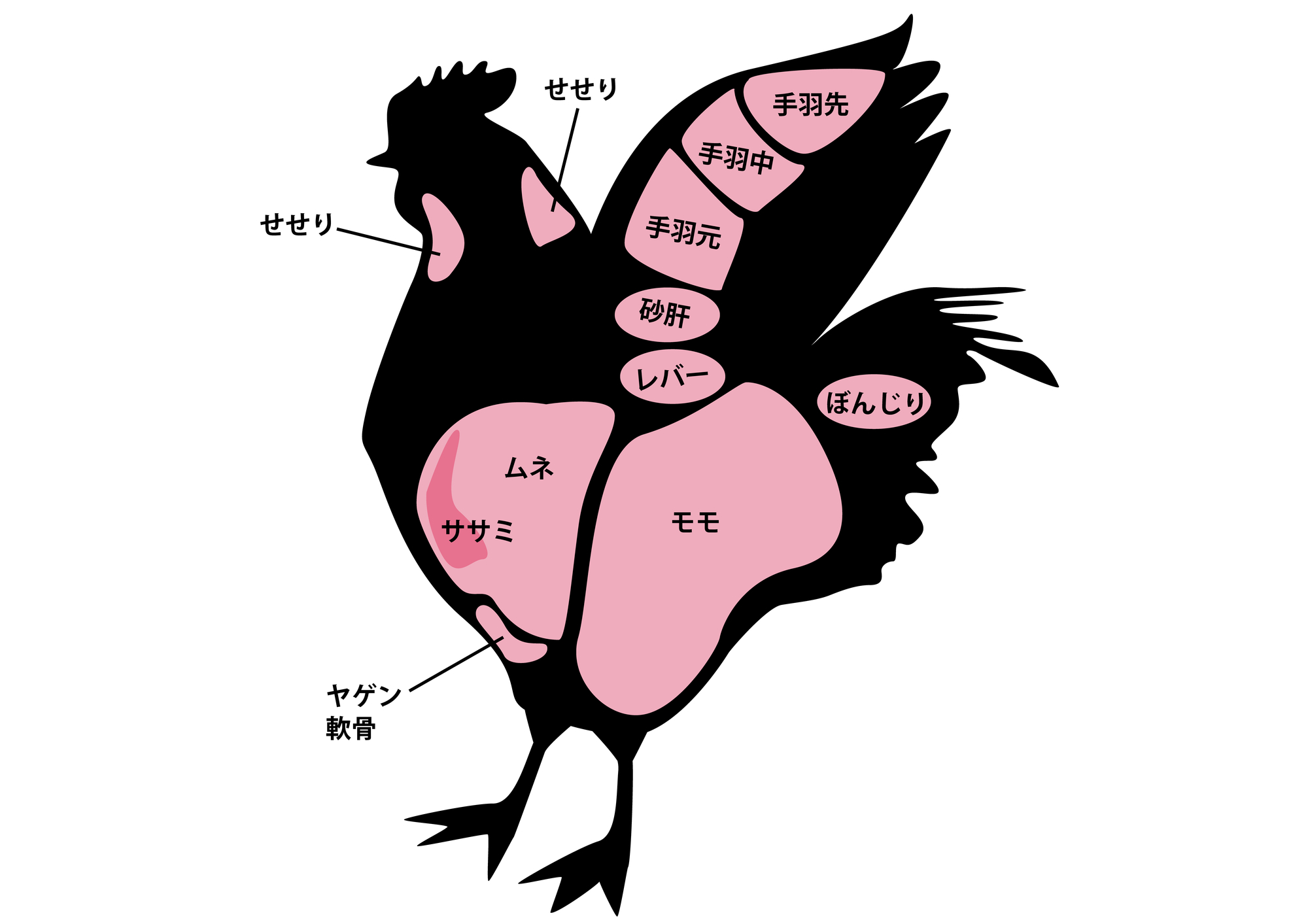 鶏肉の部位：ヤゲンナンコツ 業務用食肉卸株式会社プレコフーズ