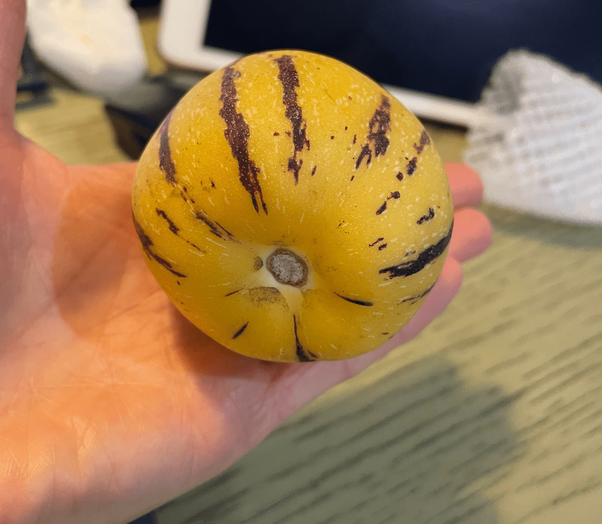 見かけたら即買い！ネーミングセンス抜群のこの時期食べないと来年まで食べられないフルーツ４選