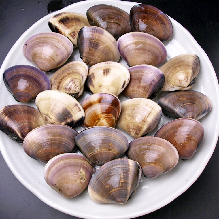 コスパ抜群！「ホンビノス貝」の食べ方や人気レシピまとめ - macaroni