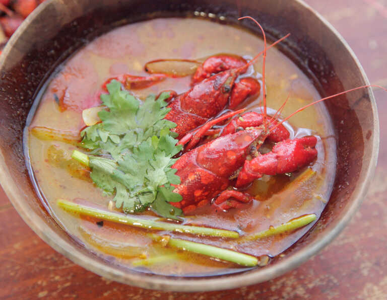 ザリガニでジビエ！ウチダザリガニを食す 福島県– Monsters Pro Shop