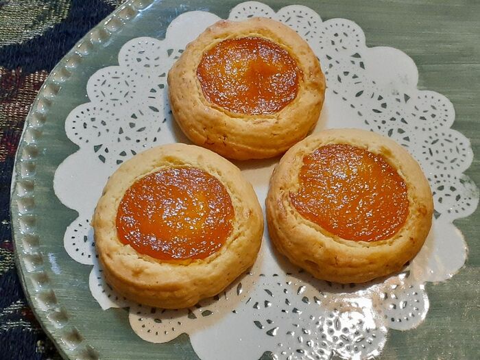 干し杏あんずドライフルーツの作り方 - ラボネクト株式会社-食品乾燥機や粉砕機、加工機器の販売