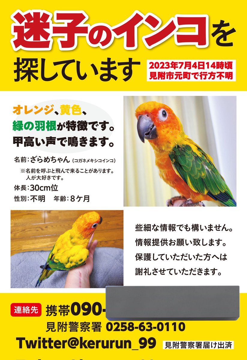 朝ドラ「虎に翼」でロケ地となった四ッ谷見附橋がある八王子市の長池公園を散策