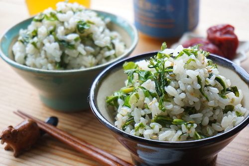 簡単おいしいタラの芽レシピ17選！定番天ぷら～洋風アレンジまで一挙紹介！サンキュ