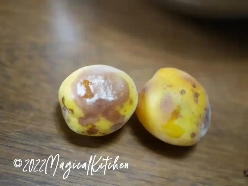 梅シロップに白いカビ?慌てないで!原因別の対処法と再発防止のコツ - 昔ながらの台所研究所