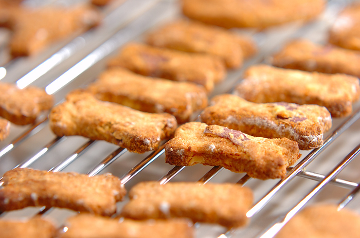 犬用ビスケットは人間が食べても大丈夫？意外と知らない違いを４つ解説わんちゃんホンポ