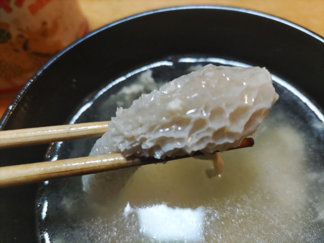 キノコ界のエイリアン「カニノツメ」を食べてみた野食ハンマープライス