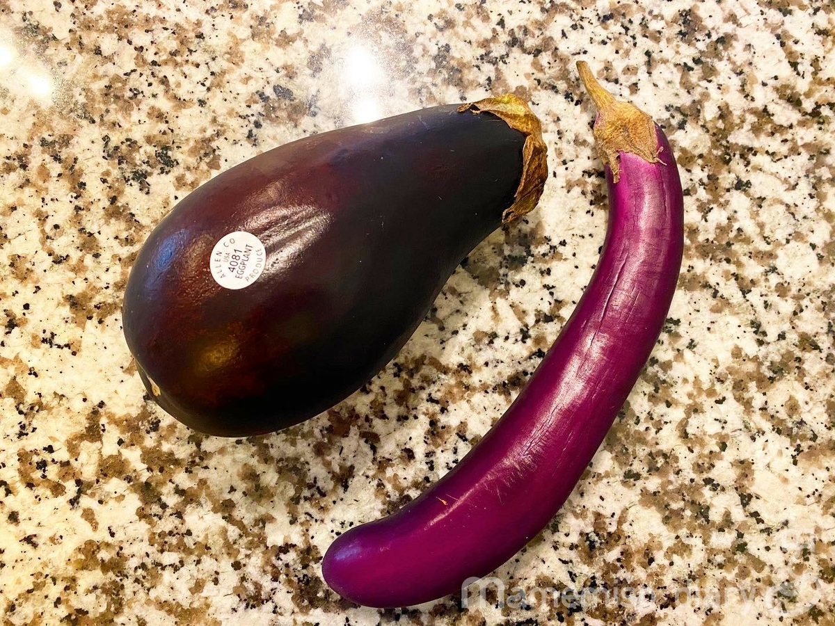 食べ方で選ぼう!ナス品種選び! valor-navi バローナビ