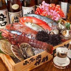 幸勝丸さん幸勝丸幸勝丸水産急行逢うも別れも渡月橋祇園華町舞妓乃街日野自動車プロフィア冷凍車中山看板マインド美術室アートトラックデコトラhinoCanonEOSR7DIESELPOWERtrucktruckstruckpicturesjapanjapaneseculture