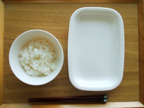 セリアで売ってるとは !動画でよく見るヤツ!お皿とレンゲのいいとこどりの食器が便利michill byGMO ミチル